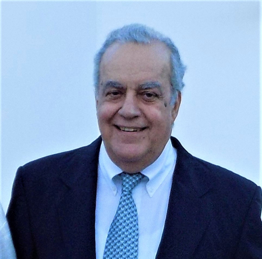 &Tau;&omicron; &phi;&iota;&lambda;&omicron;&sigma;&omicron;&phi;&iota;&kappa;ό &pi;&rho;ό&gamma;&rho;&alpha;&mu;&mu;&alpha; &tau;&omicron;&upsilon; &Pi;&lambda;&omega;&tau;ί&nu;&omicron;&upsilon;